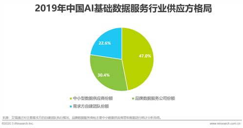 2020年中國AI基礎(chǔ)數(shù)據(jù)服務(wù)行業(yè)發(fā)展報告 數(shù)據(jù)處理服務(wù)的增長路徑